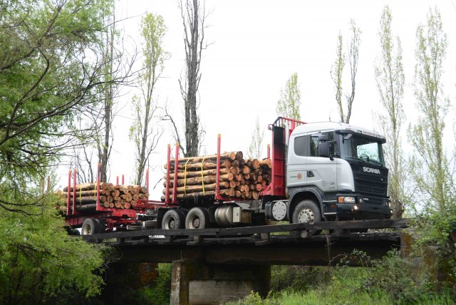 Scania camión forestal