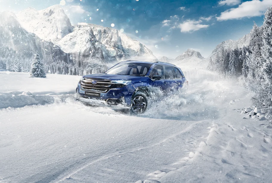 forester nieve
