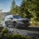 forester portada