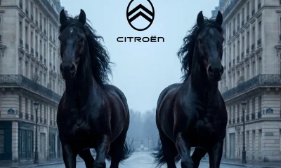 hdnoir