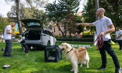 jaecoo 5 pet friendly
