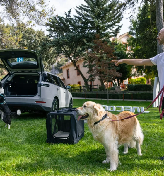 jaecoo 5 pet friendly