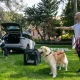 jaecoo 5 pet friendly