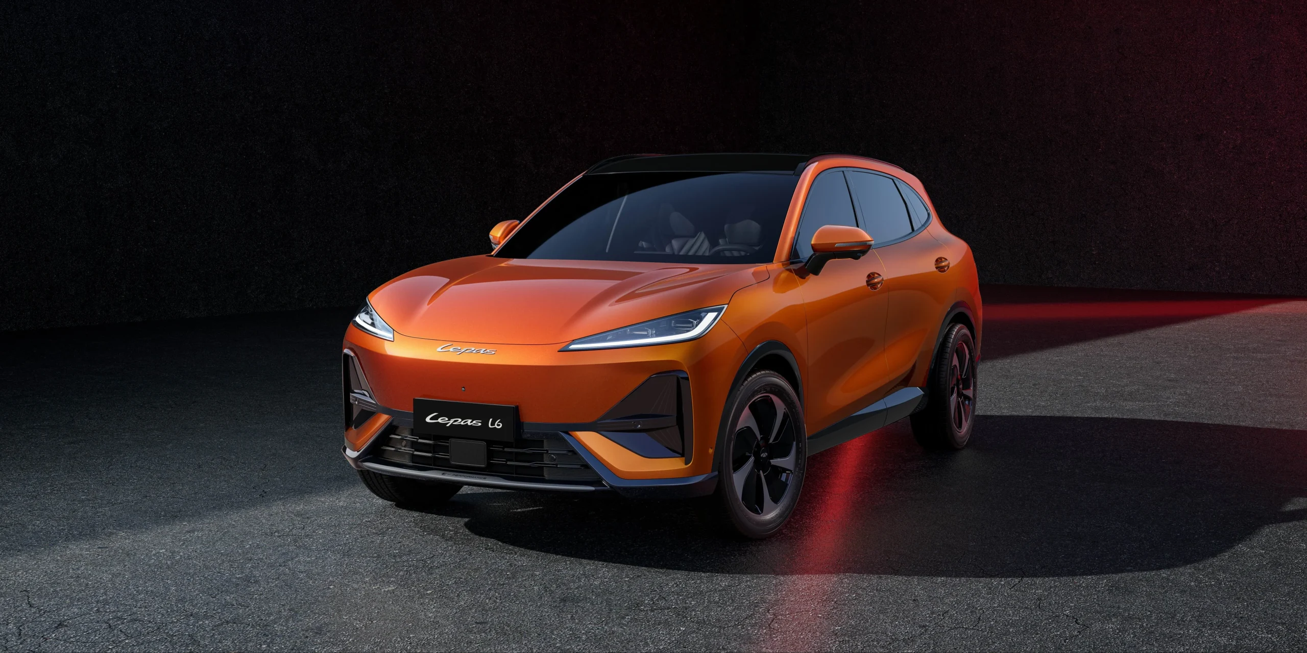 lepas l6 01